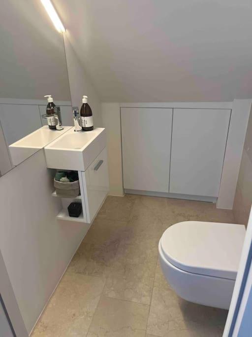 Grosszuegiges Dachterrassen-Appartment Mit Klimaanlage Und Wunderbarem Ausblick Vienna Exterior photo
